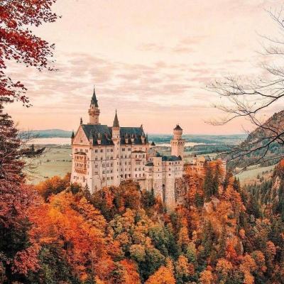 乐发lv彩票app下载安装截图