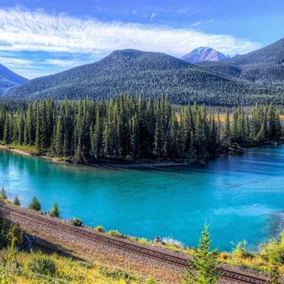 乐鱼(中国)官方网站app下载