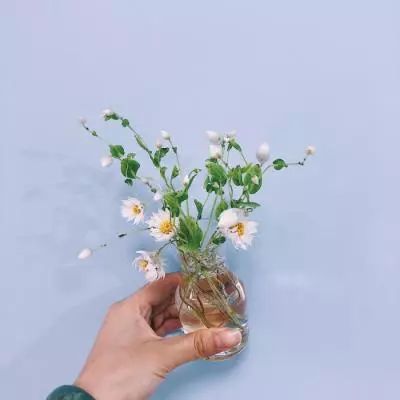 云顶集团手机app下载